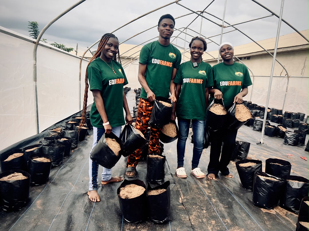 Soilless Farming Academy